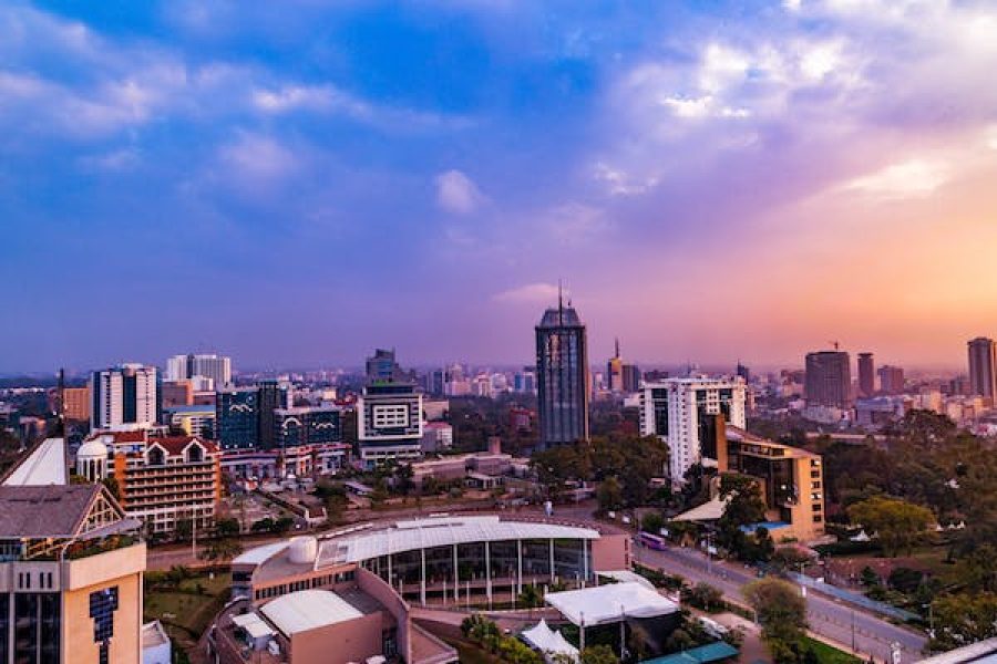 Start in nairobi and end in Sheldrick’s Wildlife Rescue