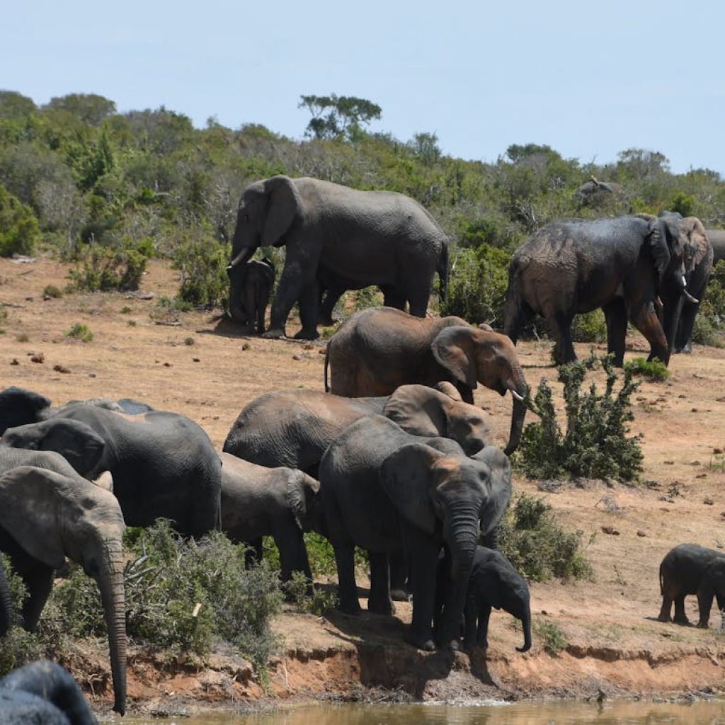 kenya tourism agenda