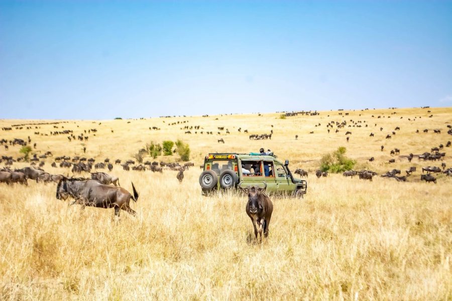 2 visit to Nairobi National Park