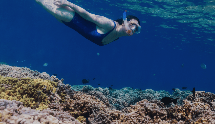 Marine & Beach Tourism