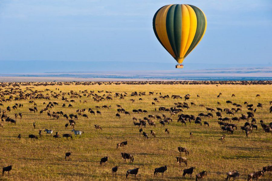 Day trip to Nairobi National Park