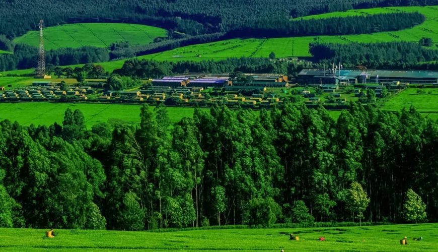 Agro-tourism in Kenya