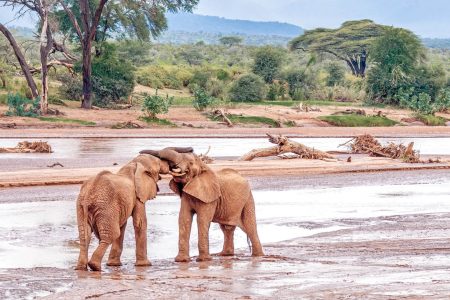 Samburu Game Reserve