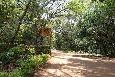Nairobi Arboretum