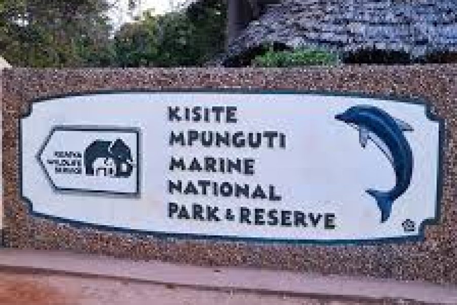 Kisite-Mpunguti Marine Park