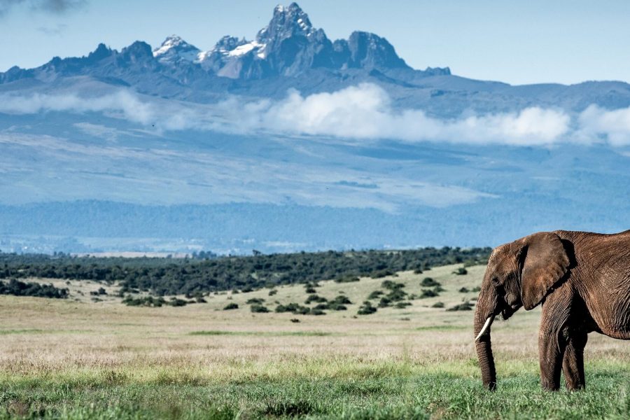 Mount Kenya National Park