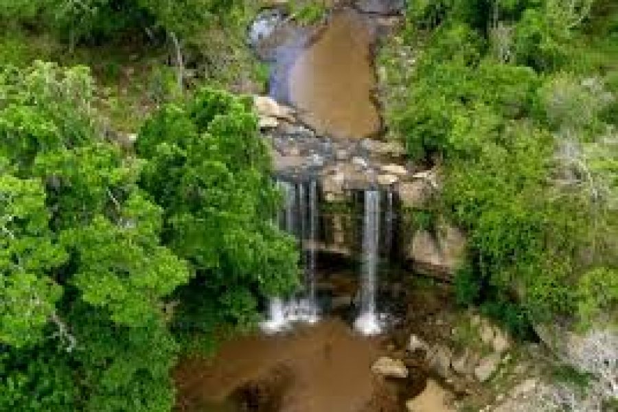 Shimba Hills National Reserve